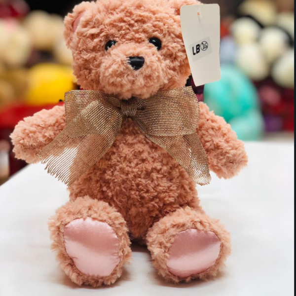 Winston Bear Plush (30cm)