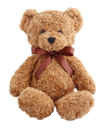 Winston Bear Plush (30cm) - Image 3